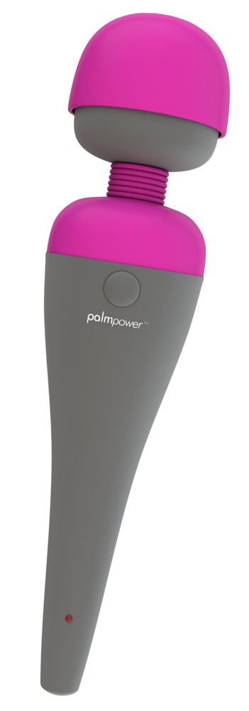 Palmpower - Palmpower Massager